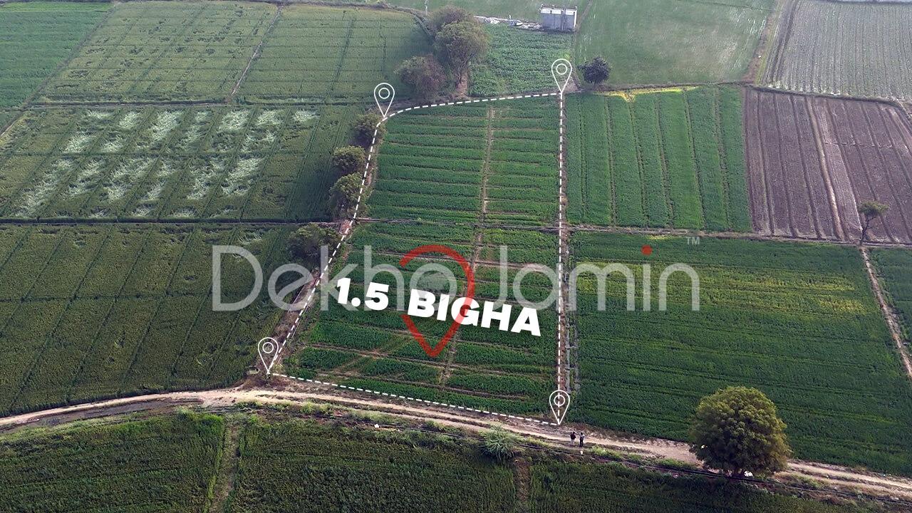 Land for Investment In Chekhla