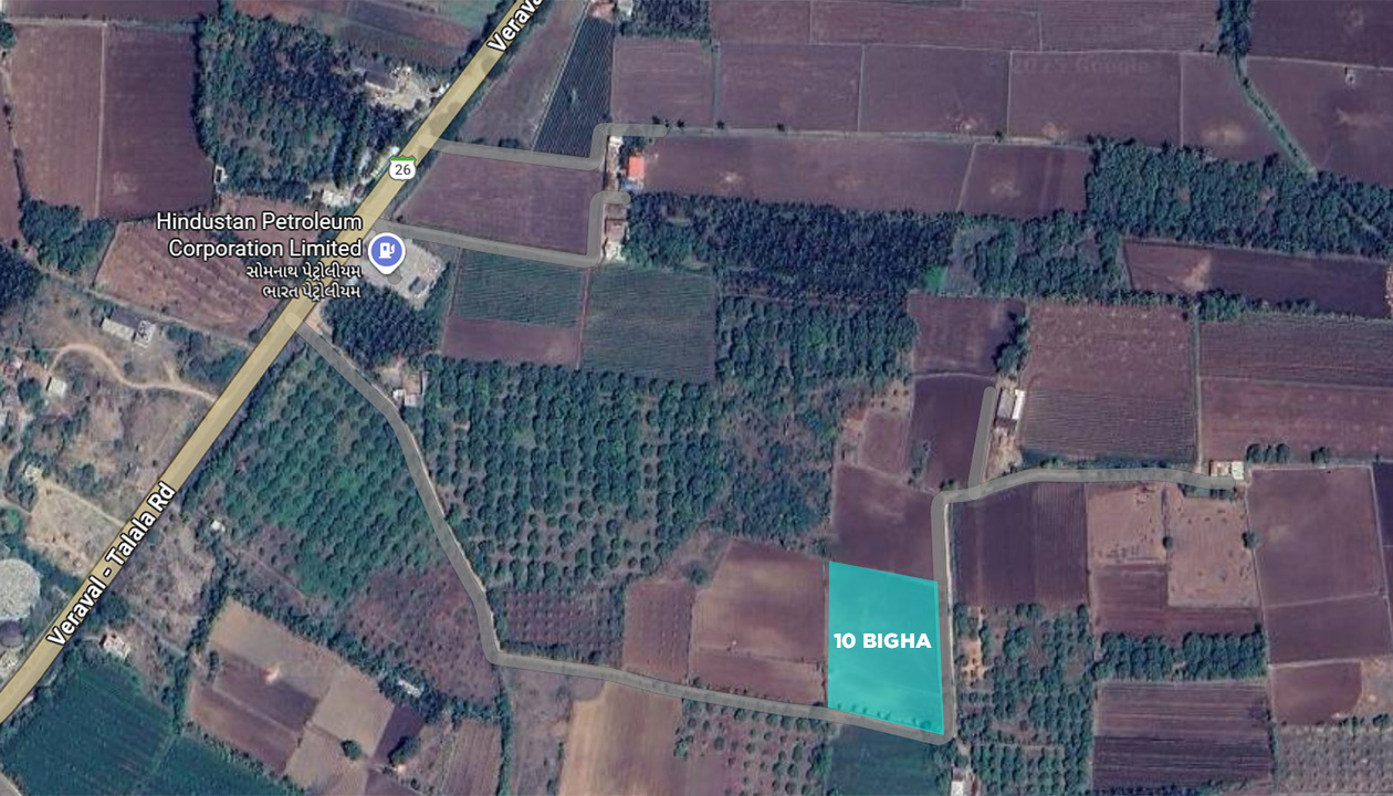 10 Vigha Agriculture Land Mango Farm Sale Semarvav Talala