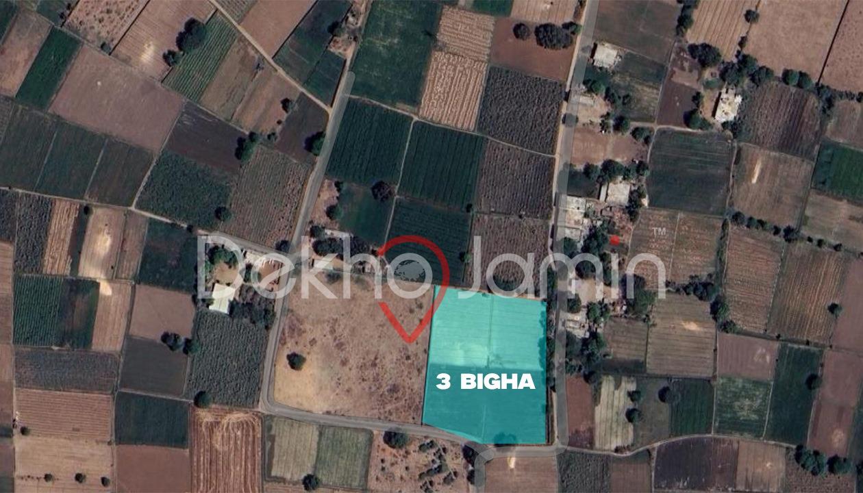 3 Vigha Agriculture Land For Sell In Dabhoda