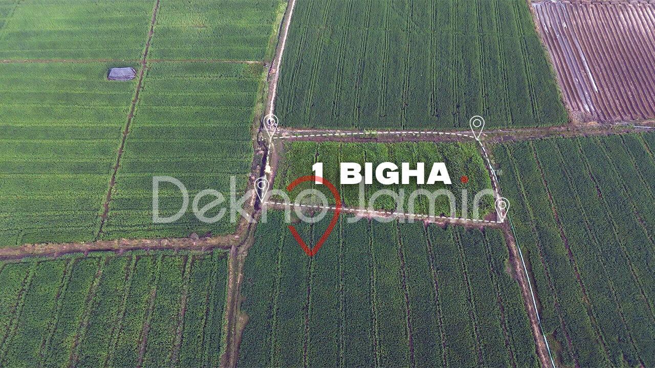 1 Bigha Agriculture Land Sale in Chekhla