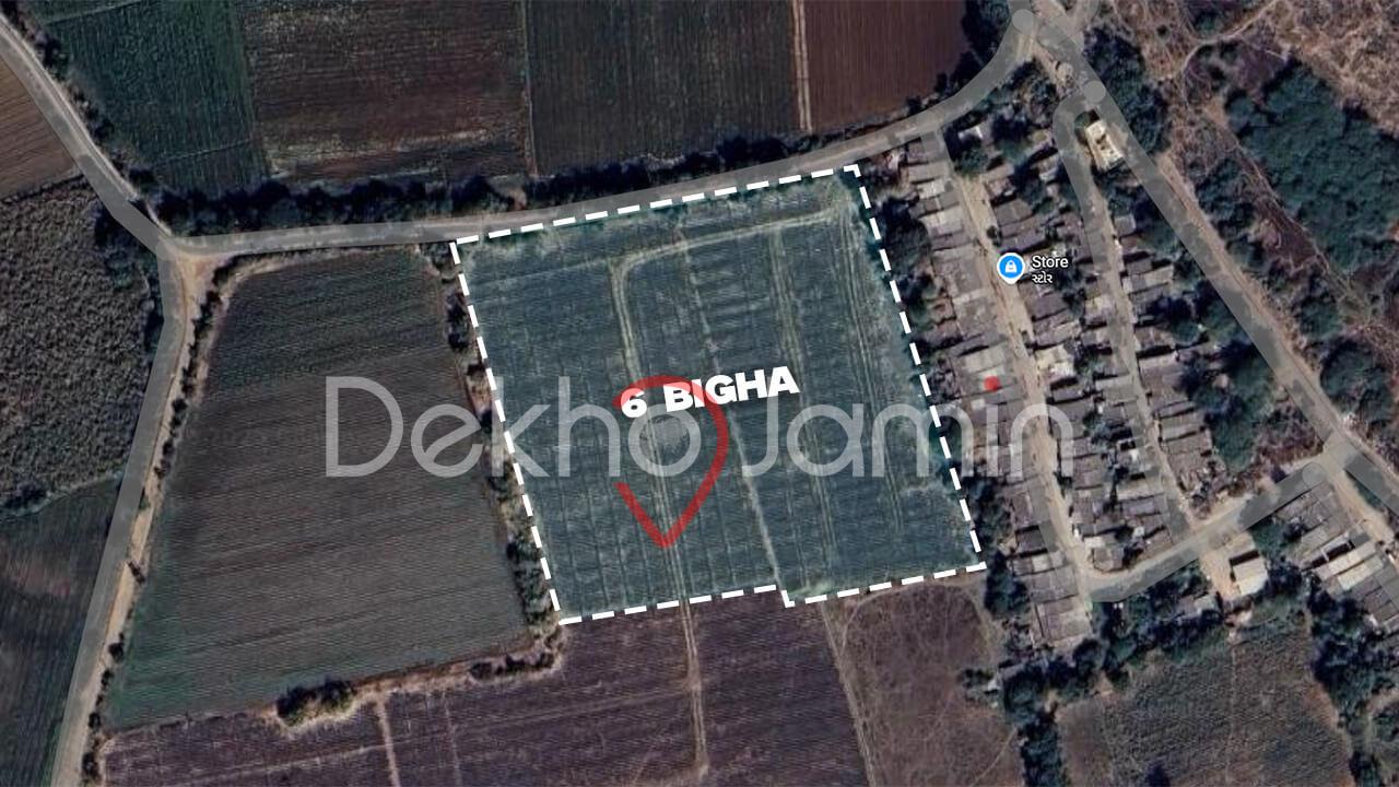 Land for Sale Dhamroad Mangrol