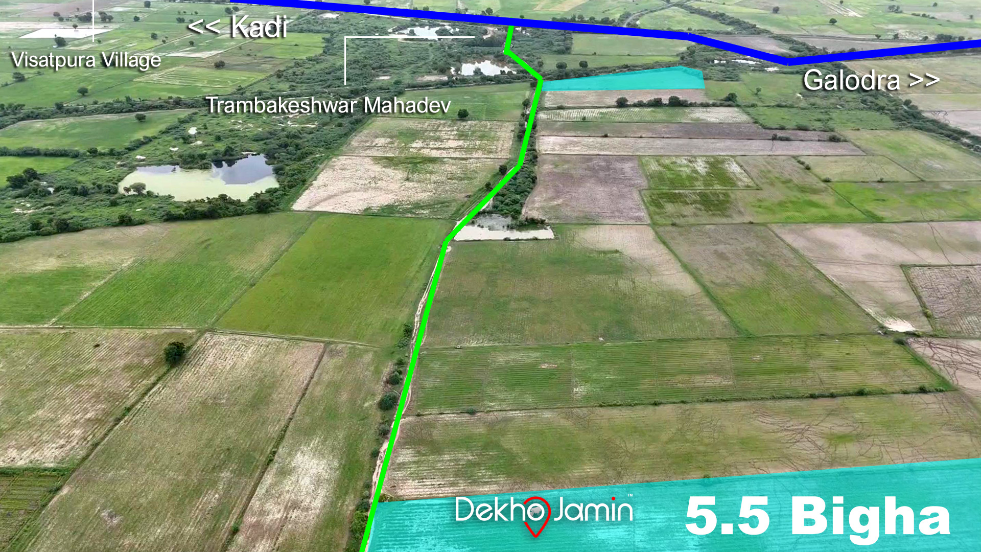 5.5 Bigha Agriculture Land for Sale in Visatpura, Kadi