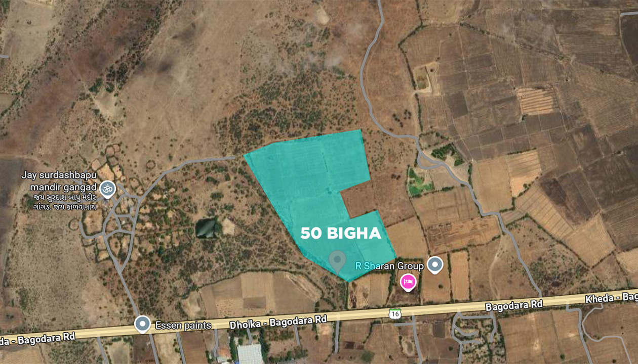 50 Bigha NA Land Sale Bagodara Kheda Highway