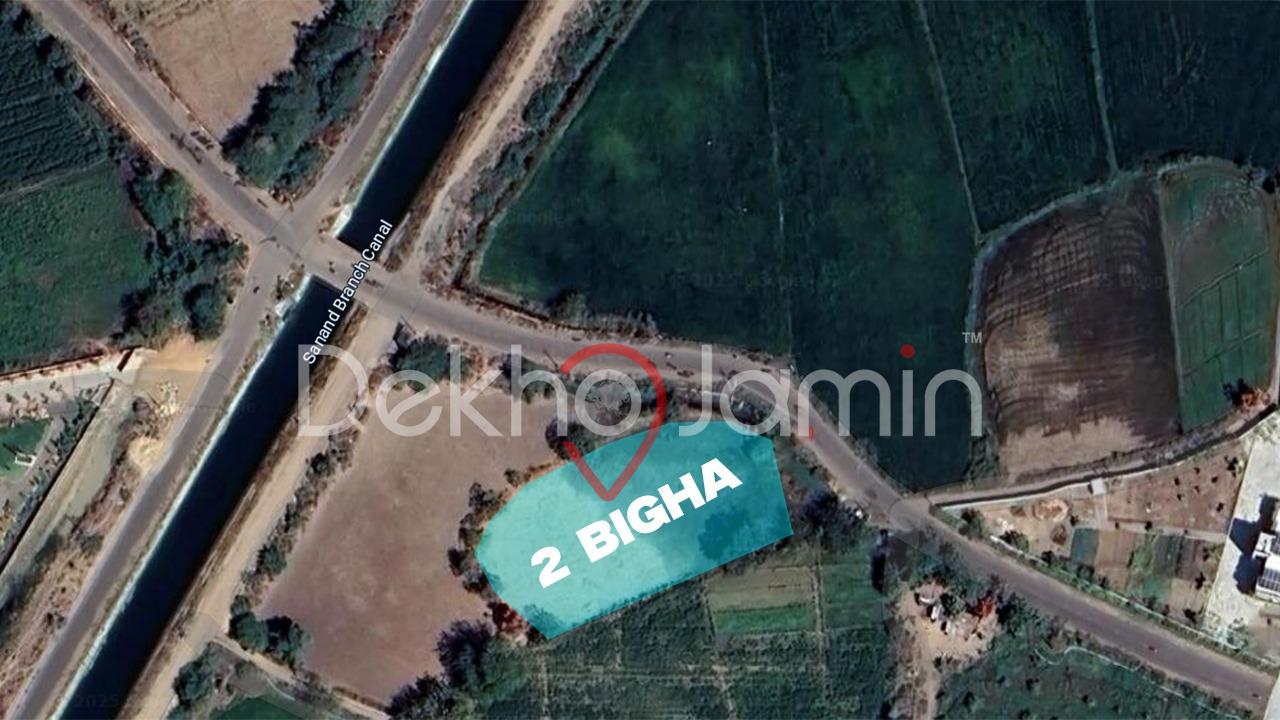 2 Vigha NA Land For Sell In Thol