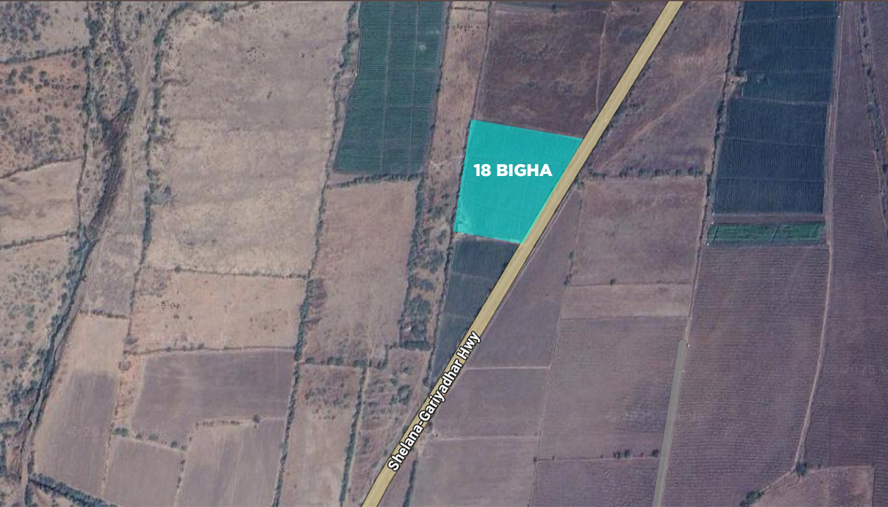 18 Bigha Agriculture Land Sale Fifad, near Savarkundla Road Touch